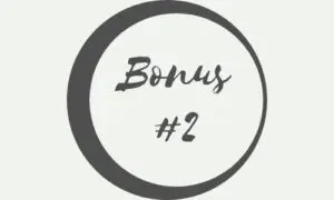 Bonus 2
