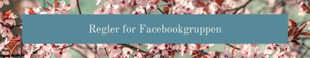 Regler for Facebookgruppen