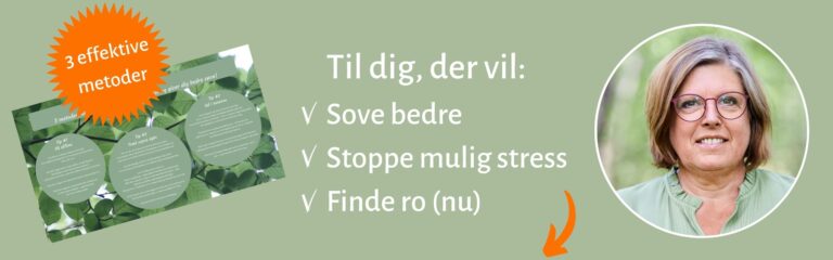 Søvnguiden indhold